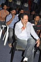 Balakrishna Gallery